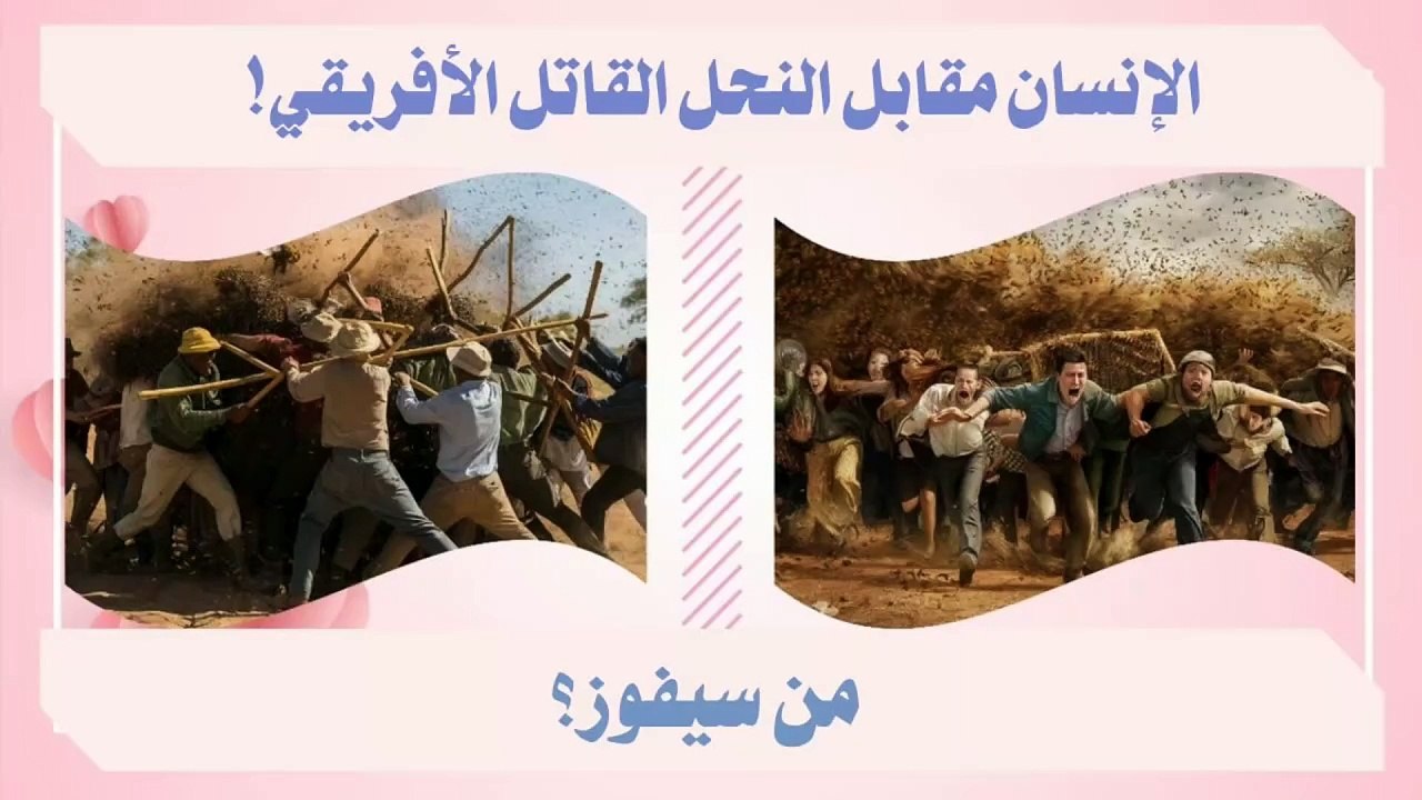 البشر ضد النحل القاتل الأفريقي_ من سيفوز؟