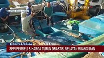 Sepi Pembeli dan Harga Turun Drastis, Nelayan di Aceh Terpaksa Buang Ikan Tangkapan