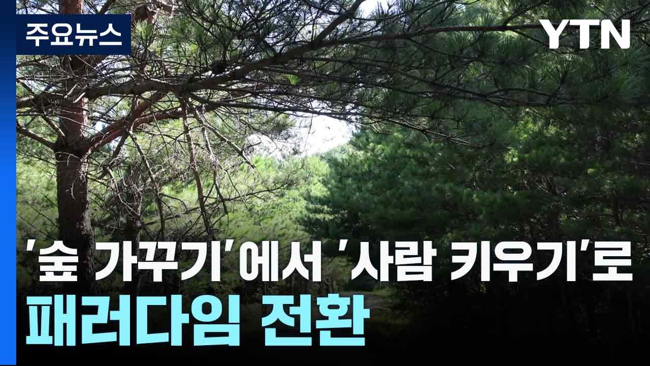 [날씨] '숲 가꾸기'에서 '사람 키우기'로 패러다임 전환 / YTN