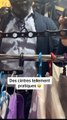 Des cintres hyper pratiques  (Note: Cette vidéo enregistrée à la Foire de Paris ne fait l’objet d’aucune contrepartie)