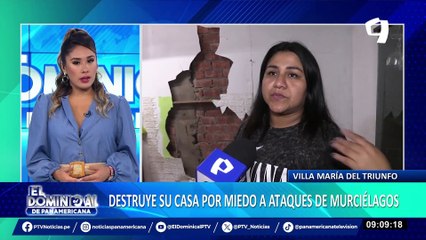 Madre de familia destruye su casa a combazos por miedo a ataque de murciélago en VMT