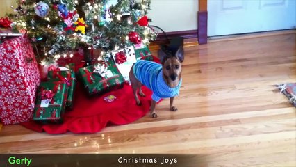 Animals of  sing Up On The Housetop