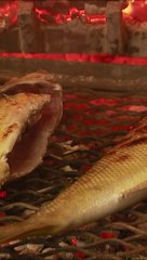 Le loup de mer, un délice pour les yeux et les papilles