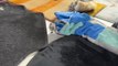 La brosse de nettoyage Opoils Spirado est une pépite  (Note: Cette vidéo enregistrée à la Foire de Paris ne fait l’objet d’aucune contrepartie)