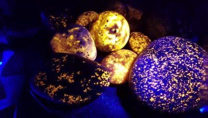 Lonely Narwhal Gets Adopted By Whales