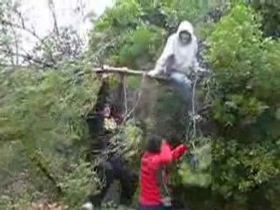 attention chutte d'arbre !!!!