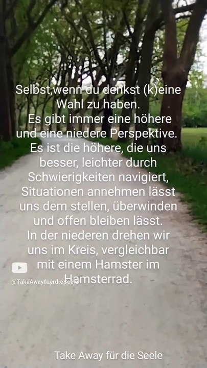 (K)eine Wahl ist immer die Wahl einer höheren & niederen Perspektive