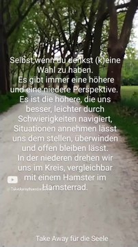 (K)eine Wahl ist immer die Wahl einer höheren & niederen Perspektive