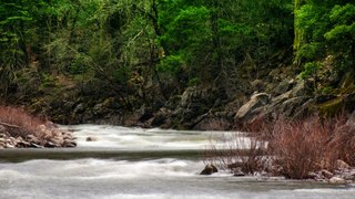 Vista Paradisíaca - As Maravilhas Escondidas de um Rio na Selva!