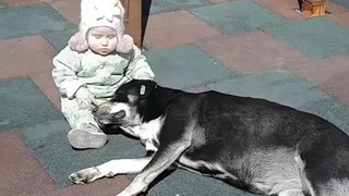Sleepy Stray Dog Relaxes With Baby and Kisses Her