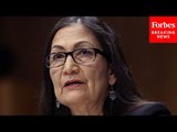 'I Believe You're Doing Your Best': Dem Lawmaker Defends Deb Haaland During Tense Hearing