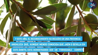 Ni Jaén ni Sevilla: el mejor aceite de oliva sólo se puede encontrar en esta provincia andaluza