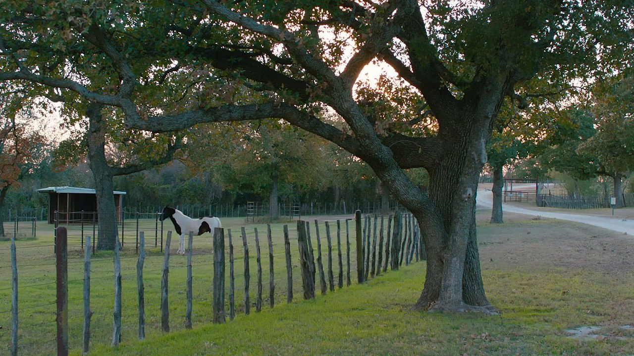 Glory - Eine ungezähmte Freundschaft (2021) stream deutsch anschauen
