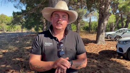 Strathalbyn cattle market