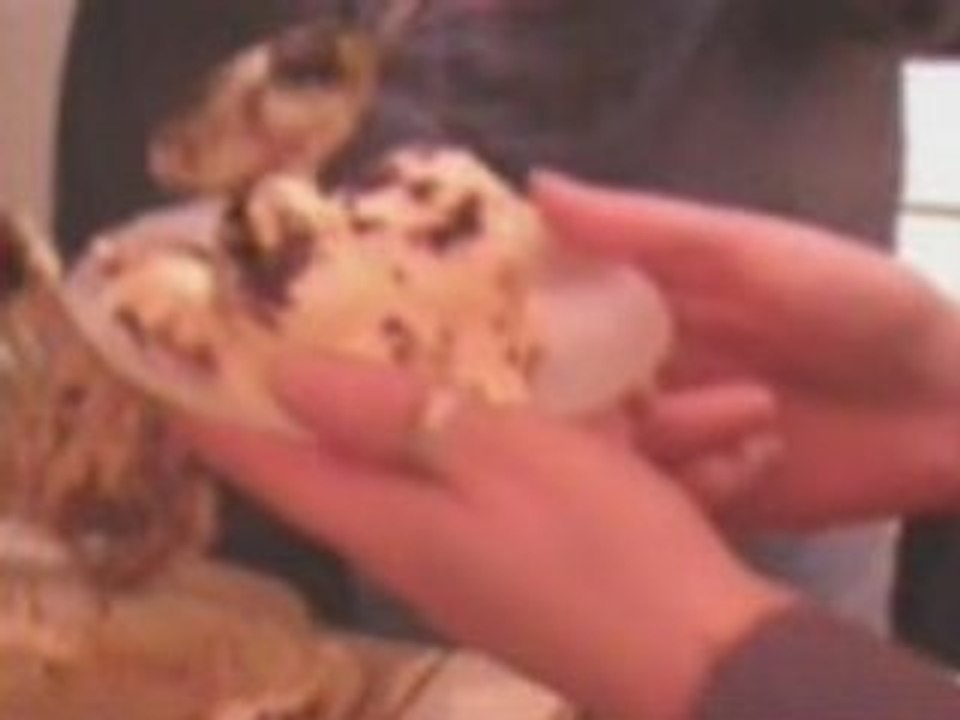 Tiramisu !  2