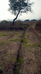 Walking along a path, less travelled