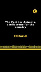 Editorial en inglés | The Pact for Animals, a milestone for the country