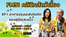 อาหารปรุงเองในโรคไตของสุนัขและแมว EP.1 : FM91 คลินิกสัตว์เลี้ยง : 4 พฤษภาคม 2567