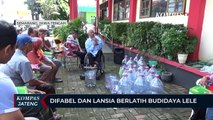 Difabel dan Lansia Berlatih Budidaya Lele