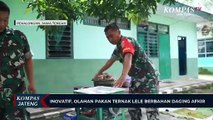 Inovatif, Olahan Pakan Ternak Lele Berbahan Daging Afkir