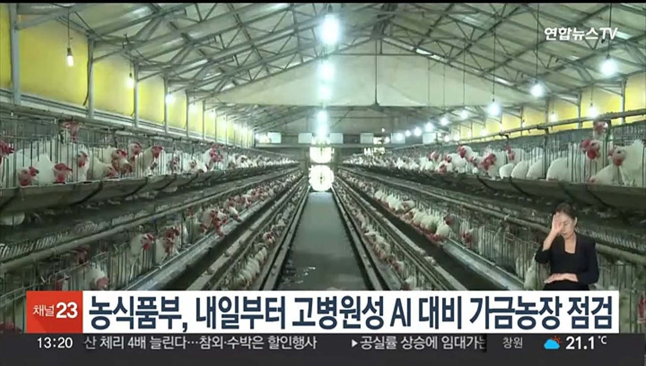 농식품부, 내일부터 고병원성 AI 대비 가금농장 점검