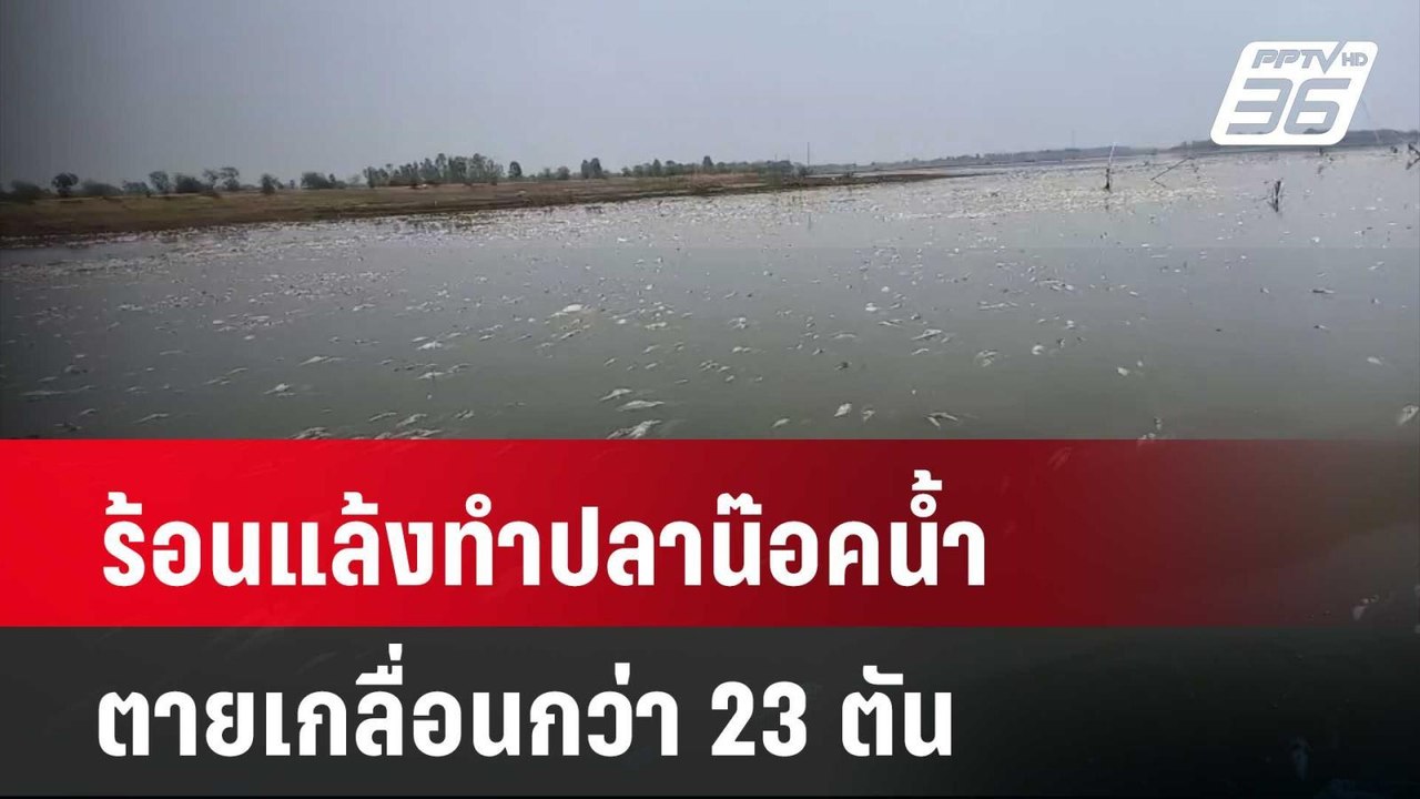 ร้อนแล้งทำปลาน๊อคน้ำตายเกลื่อนกว่า 23 ตัน | เที...