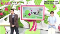 バラエティー 動画 まとめ - 動画 9tsu Miomio -  9tsu.cc - ノンストップ！ 動画　5月6日