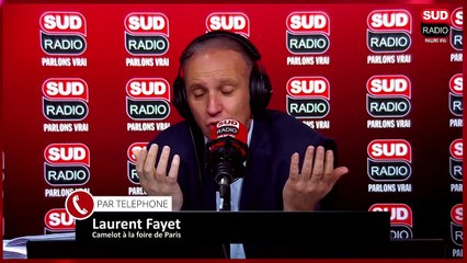 Camelots : zoom sur le métier de "démontrasteur de foires"