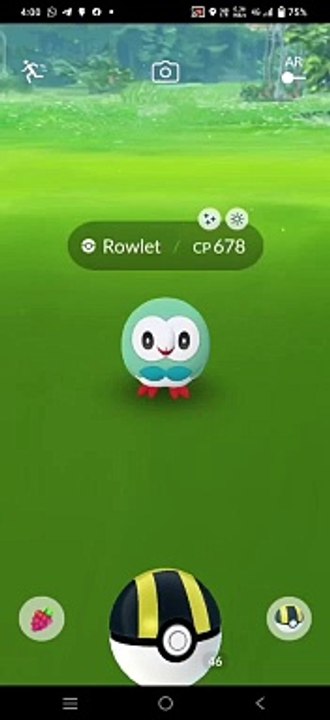 Catching shiny Rowlet