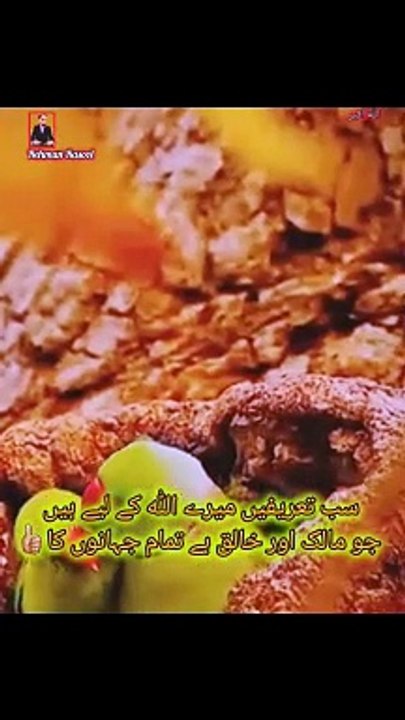 لوگوں کے ذکر میں  مشغول نہ رہا کرو، وہ تو میصبت ہے اللہ کے ذکر کو معمول بناؤ وہ رحمت ہے.