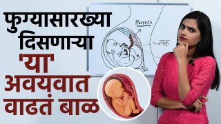 फुग्यासारखा दिसणाऱ्या 'या' अवयवात वाढतं बाळ How Placenta Works? | Its Development and Function