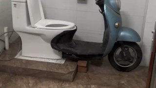 The best toilet i ever seen