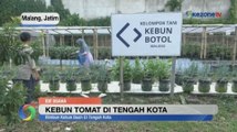 Melihat Kebun Botol, Solusi Bertani Ala Warga Perkotaan di Lahan Terbatas