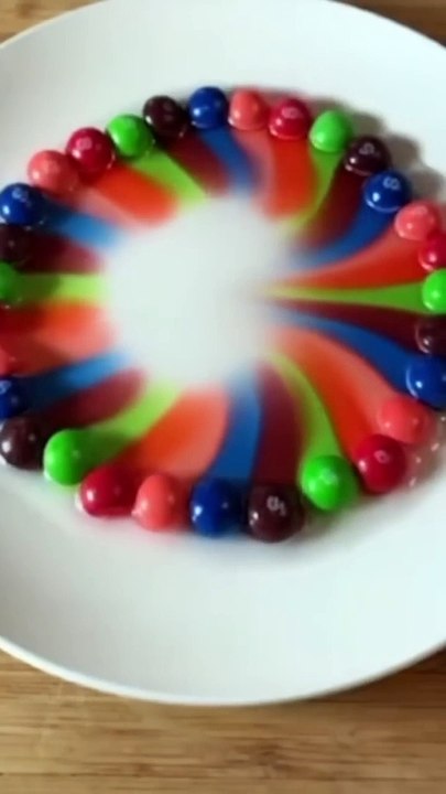 Funny Video 