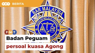 Langkah Badan Peguam cabar ‘pengampunan’ Najib persoal kuasa Agong, kata peguam