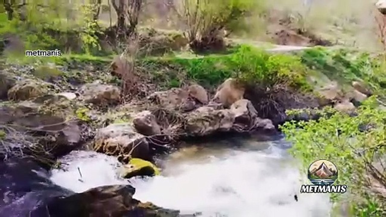 Van Gevaş’lı Dengbej ve Eşsiz Gevaş Manzaraları