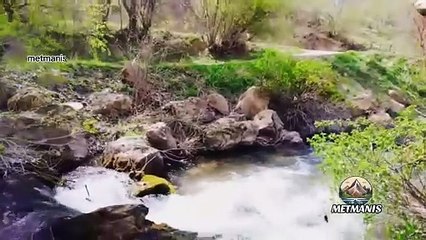 Van Gevaş’lı Dengbej ve Eşsiz Gevaş Manzaraları