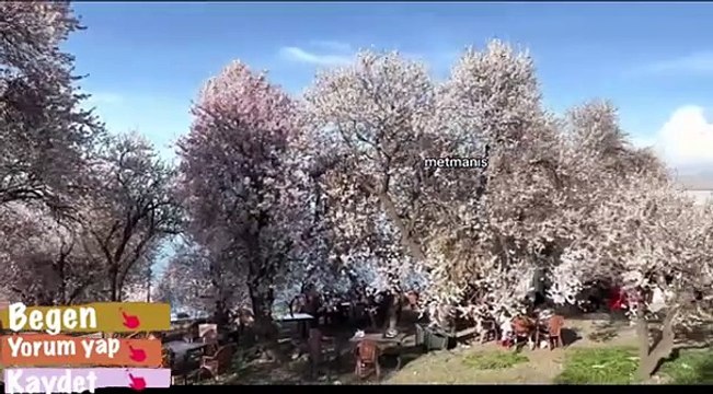 Van Gölü'nün İncisi Akdamar Adası