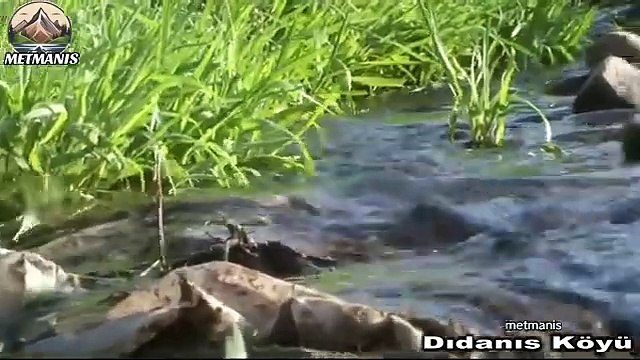 Van Gürpınar Koçgüden (Dıdanıs)