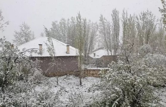 Van'ın Başkale ilçesinde mayıs ayında kar yağışı: Her yer beyaza büründü