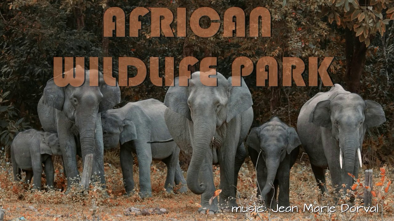 PARC ANIMALIER AFRICAIN ❤️ AFRICAN WILDLIFE PARC