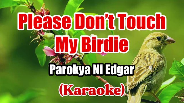 Please Don’t Touch My Birdie - Parokya Ni Edgar