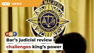 Bar’s judicial review on Najib ‘pardon’ questions king’s power, says lawyer