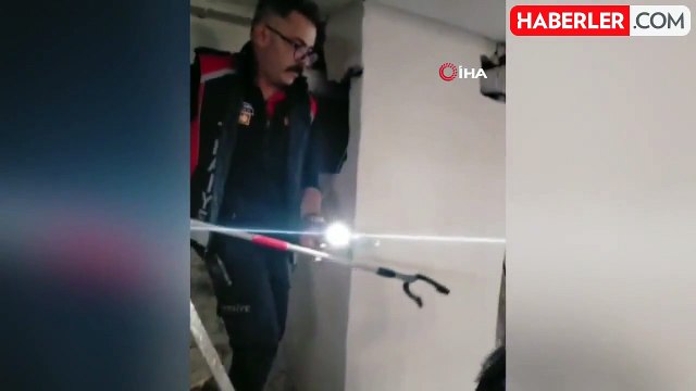 Havalandırmada mahsur kalan anne kedi ve yavrularını itfaiye ekipleri kurtardı