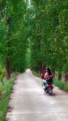 کون میرے ساتھ سوکوتی کی سیر کرنا چاہتا ہے؟ ‍♂️✨  #سوکوتی_سفر #میرے_ساتھ_چلو #سوکوتی_راہیں #دوستوں_کی_محبت #خوشیوں_کا_سفر #طبیعت_کی_خوبصورتی #میری_سائیکل #سوکوتی_موسم #رفاقت_کی_راہیں #خوشی_کی_سیر