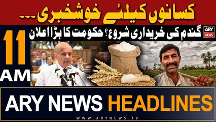 ARY News 11 AM Headlines | 6th May 2024 | Good news for farmers