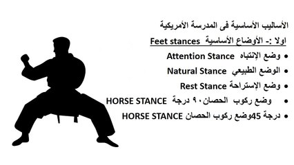 Master the Fundamentals of American Kempo: Stances & Techniques 🥋