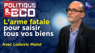 Politique & Eco n°435 avec Ludovic Malot - Dépossession planétaire : urgence d'une monnaie Or et Argent