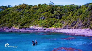 Kiama, Shellharbour tussle over top tourism town tag │ Illawarra Mercury │ May 6, 2024