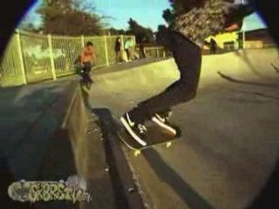 A day at Belvedere Skatepark - Temple Effectives & ...